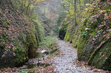 Drachenschlucht bei Eisenach im Spätherbst