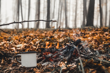 Marshmallows roasting on the camp fire and getting nicely golden brown.