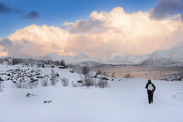 Valiente mujer excursionista en un paisaje nevado en el ártico. Sommaroy, Nordland, Noruega