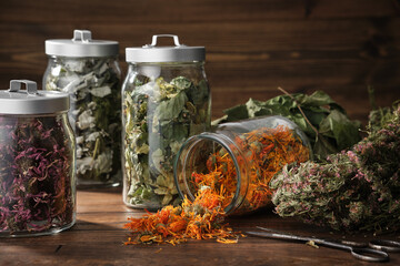 Glass jars of dry medicinal herbs - calendula, coneflowers, raspberry leaves and linden tree...