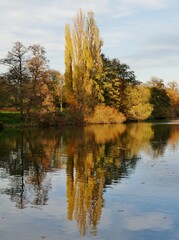 Fototapeta na wymiar Herbstbäume spiegeln sich im Wasser