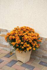 bouquet of orange yellow flowers near the door