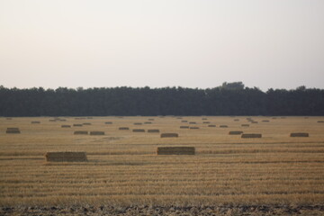 bales of hay