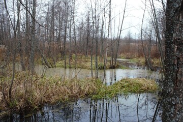 Fototapeta na wymiar Nature, River, Landscape, Russia, Autumn.