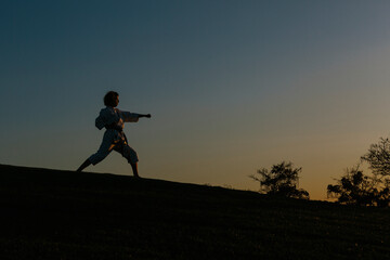 Silhouette of a karate woman, wearing a kimono, throwing a punch. Karate and martial arts concept. In a park and trees background. Image with copyspace