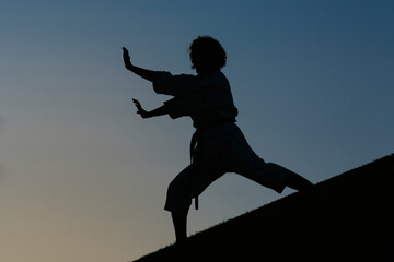 Silhouette of a karate woman, in attack position, wearing a kimono. Karate and martial arts concept. In a park background.