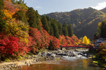 Colourful forest of Korankei in Japan