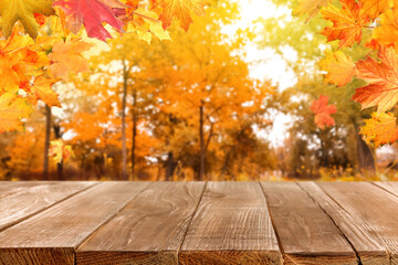 Naklejka na ściany i meble Empty wooden surface and beautiful autumn leaves in park