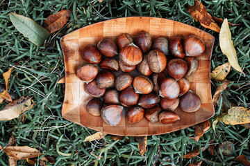 Top view of raw chestnuts in wooden dish surrounded with dry leaves.