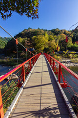 Famous bridge in Korankei coloured forest (Japan)