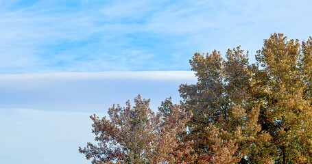 Autumn colored trees against a partly cloudy blue sky with copy space