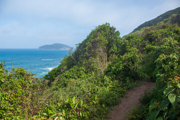 Trilha Praia tropical, Praia do Santinho,  Florianopolis,  Santa Catarina, Brasil, Florianópolis,