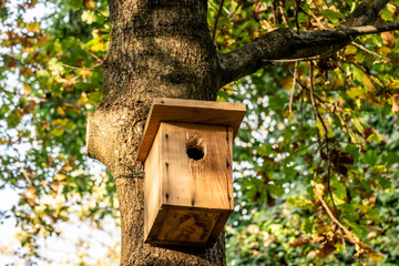 Autumn landscape with a hand made wooden birdhouse close-up on a tree in a forest park.