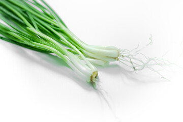 Spring onions isolated on a white background. fresh green onions isolated on white background. Top view