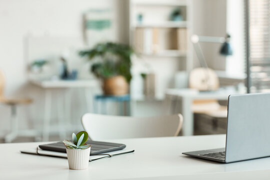 Minimal background image of inviting empty workplace with white desk and succulent plant in foreground, copy space