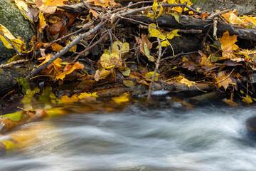 Obraz na płótnie Canvas Water flows under rocky shore with fallen branches and colored leaves.