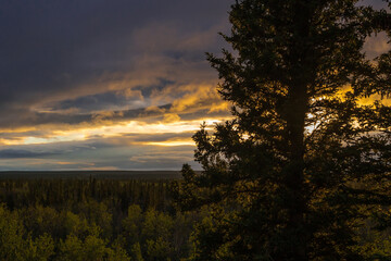 Dramatic sunset sky over taiga. Alaska in summer season