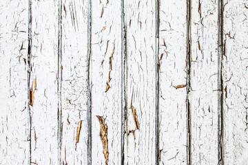 Peeling paint background. White wood texture. Bright paint plank background. Wooden desk board. Natural wood pattern with knot. 