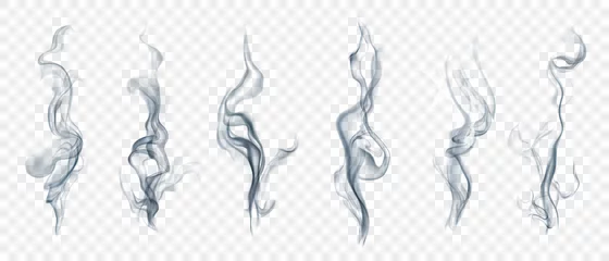 Foto op Plexiglas Set of several realistic transparent smoke or steam in white and gray colors, for use on light background. Transparency only in vector format © Olga Moonlight