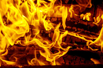 Burning fire bonfire of flames burning on fire background