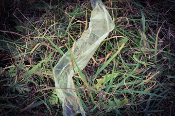 littering the forest with plastics