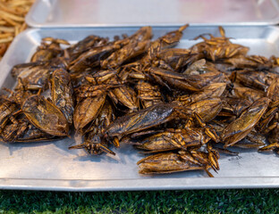 Thai snack, fried big bugs