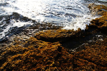 Livorno sea-side, Italy
