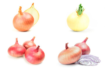 Group of Onion isolated on a white background cutout