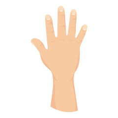Obraz premium hand human stop isolated icon