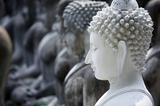 white Buddha amidst a dark Buddha statue