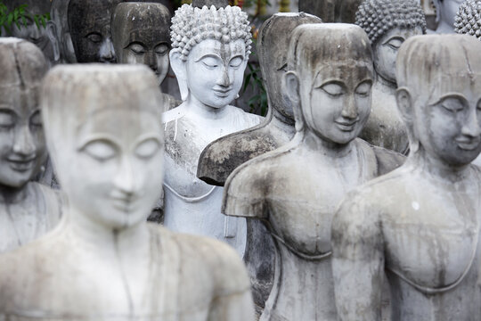 white Buddha amidst a dark Buddha statue