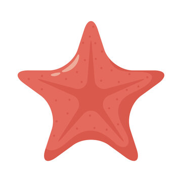 recommend clip art: starfish shell animal flat style icon