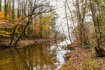 Obraz premium autumn landscape with trees and lake
