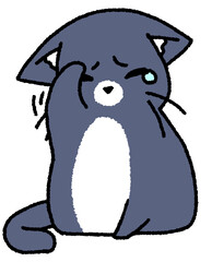 目がかゆい白黒ネコ