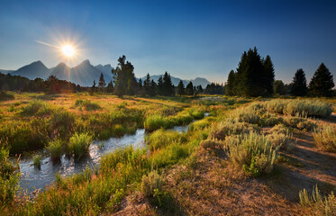 eaver Dam area on the Snake River along the trail from Schwabacher Landing, Moose, Wyoming