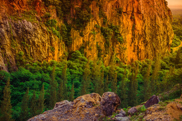Blurred nature background view of naturally occurring trees and reflection on the water surface, the beauty of ecosystems at various vantage points.