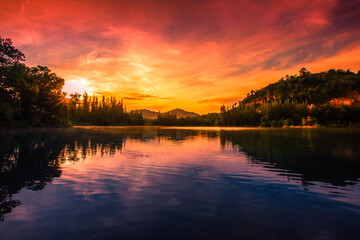 Blurred nature background view of naturally occurring trees and reflection on the water surface, the beauty of ecosystems at various vantage points.
