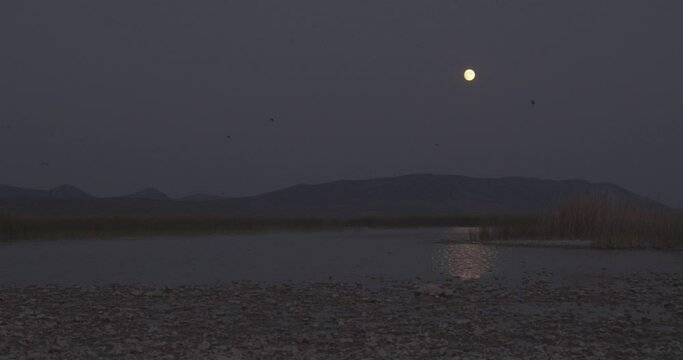 Clear night with a fool moon in Vransko jezero, Croatia