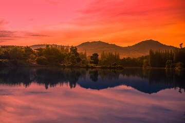 Blurred nature background view of naturally occurring trees and reflection on the water surface, the beauty of ecosystems at various vantage points.