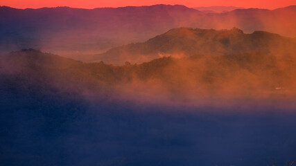 Blurred nature background view of naturally occurring trees and reflection on the water surface, the beauty of ecosystems at various vantage points.