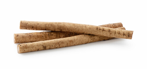 Burdock on a white background