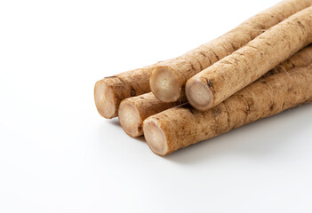 Burdock on a white background