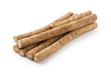 Burdock on a white background