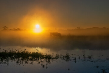 Photography on a pond shrouded in fog at sunrise