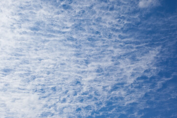 秋の空に白い雲	