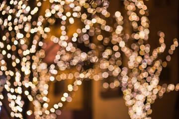 ぼかして撮ったイルミネーション
