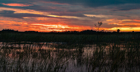 Sunset over a swamp in Florida 