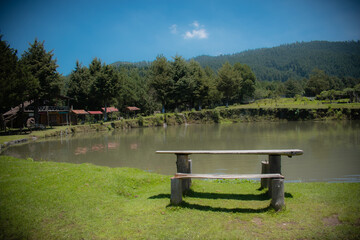 Bench on the lake