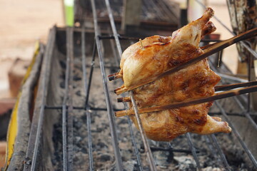 chicken on the grill