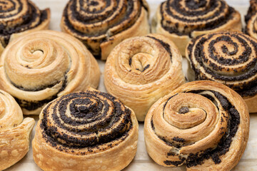 puff pastry with poppy seeds on a plate. close up view. various of a tasty pastry. homemade baking concept. background backdrop. studio shot